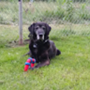 Meet your Posher, Laura